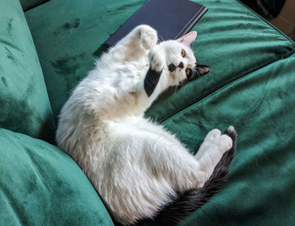 can gasteromaradical disease be cured