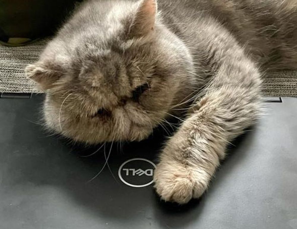 gaming tutorials thehakegeeks