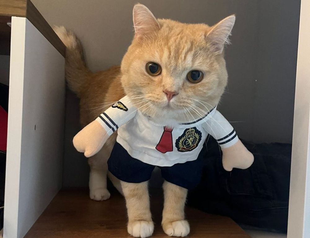 how to install mozillod5.2f5