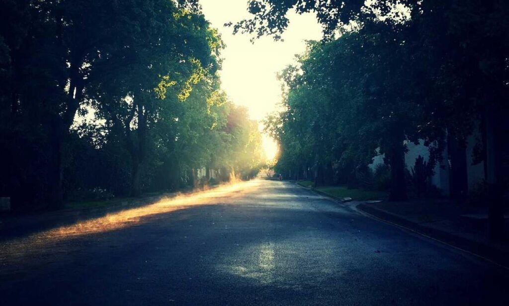 improve software meetshaxs in future