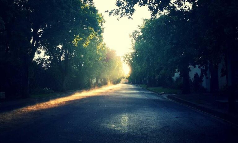 improve software meetshaxs in future