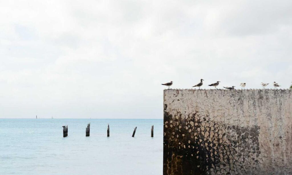 latest gaming tips thehakegeeks