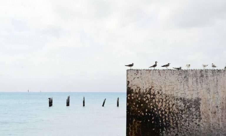 latest gaming tips thehakegeeks