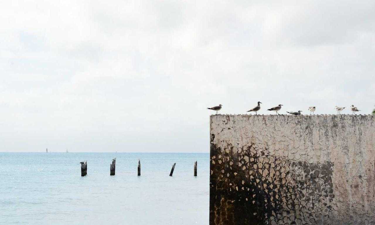 latest gaming tips thehakegeeks