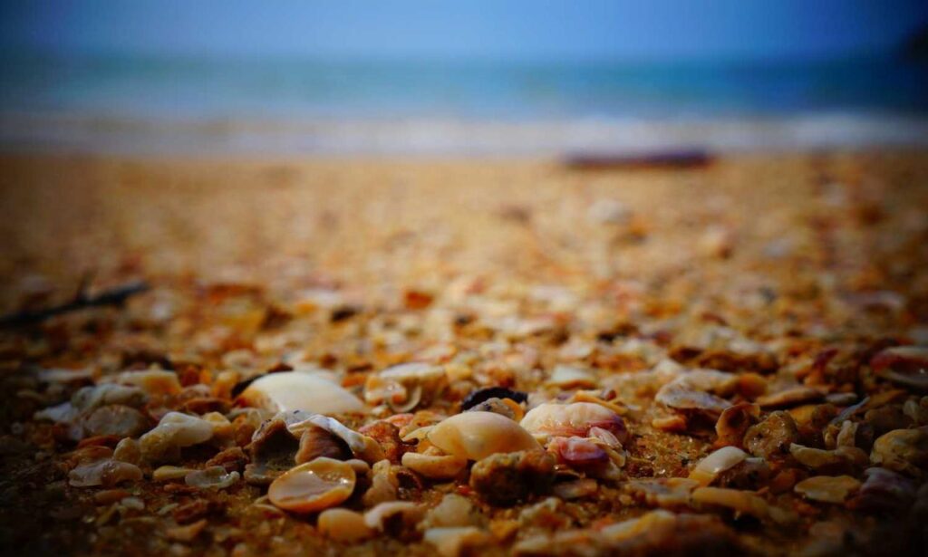 pregnant women with azoborode allergy