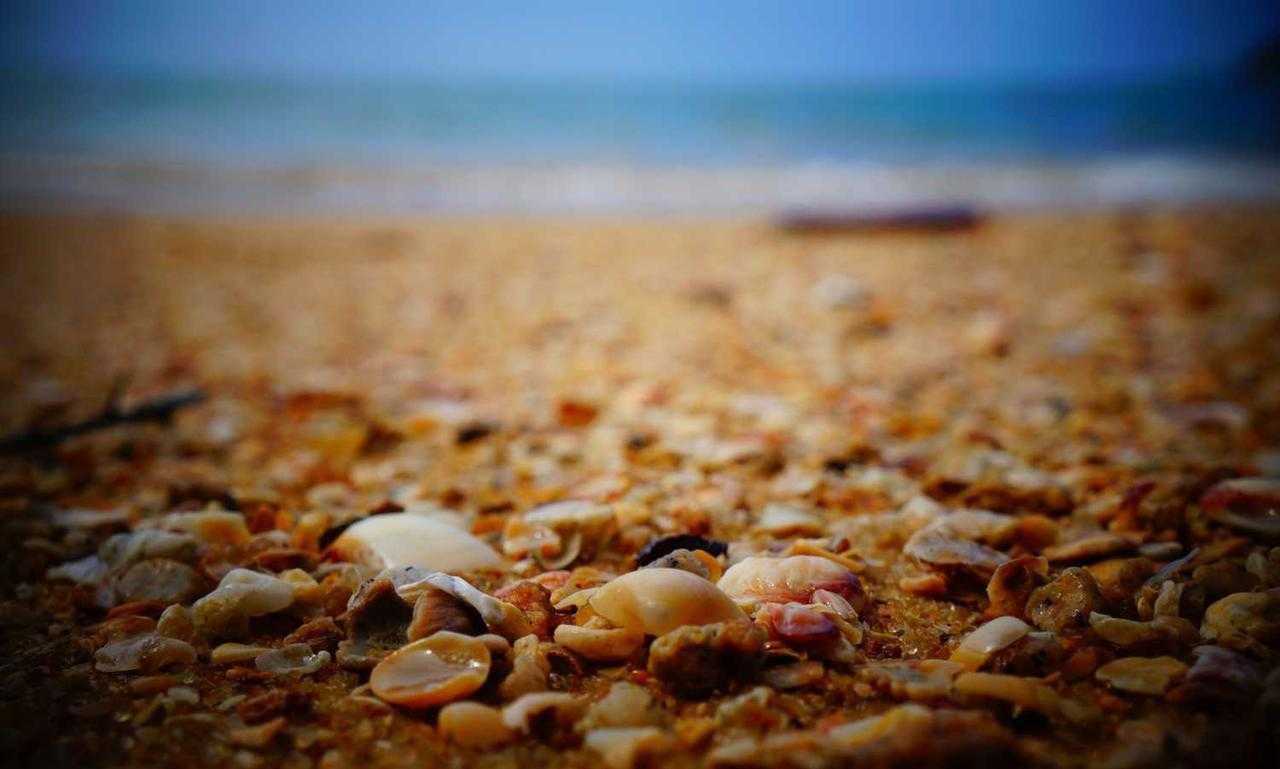 pregnant women with azoborode allergy