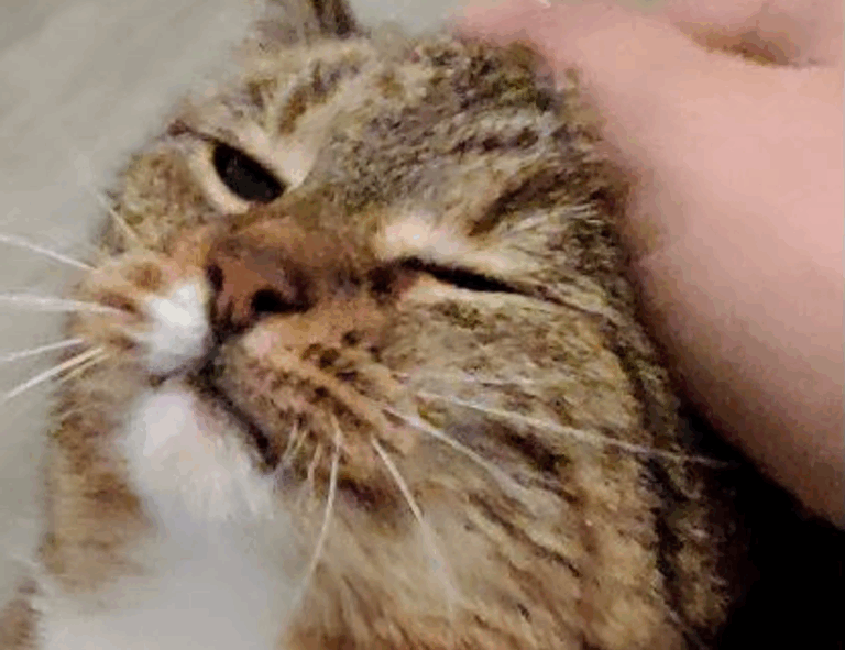 what famous place in hausizius