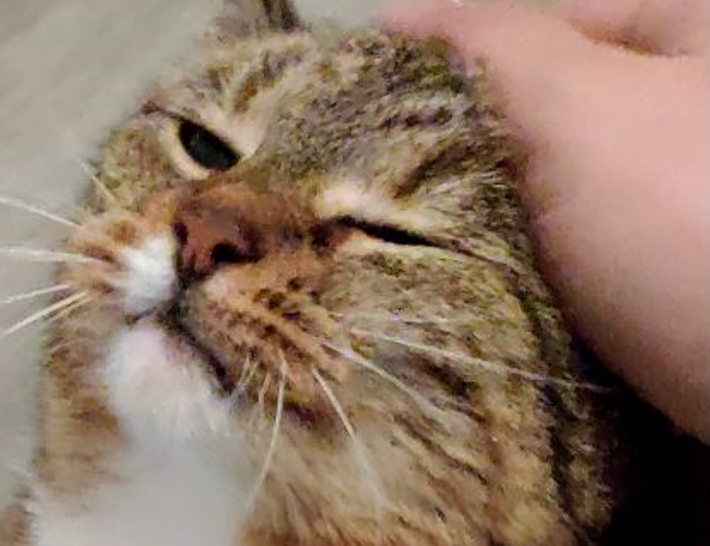 what famous place in hausizius