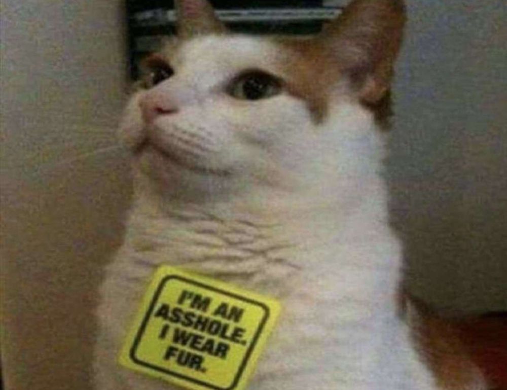 what is vastaywar forum