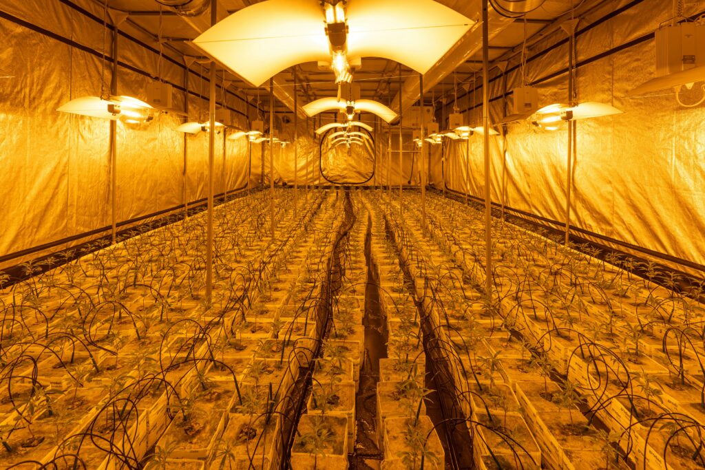 diablo iv gold farming