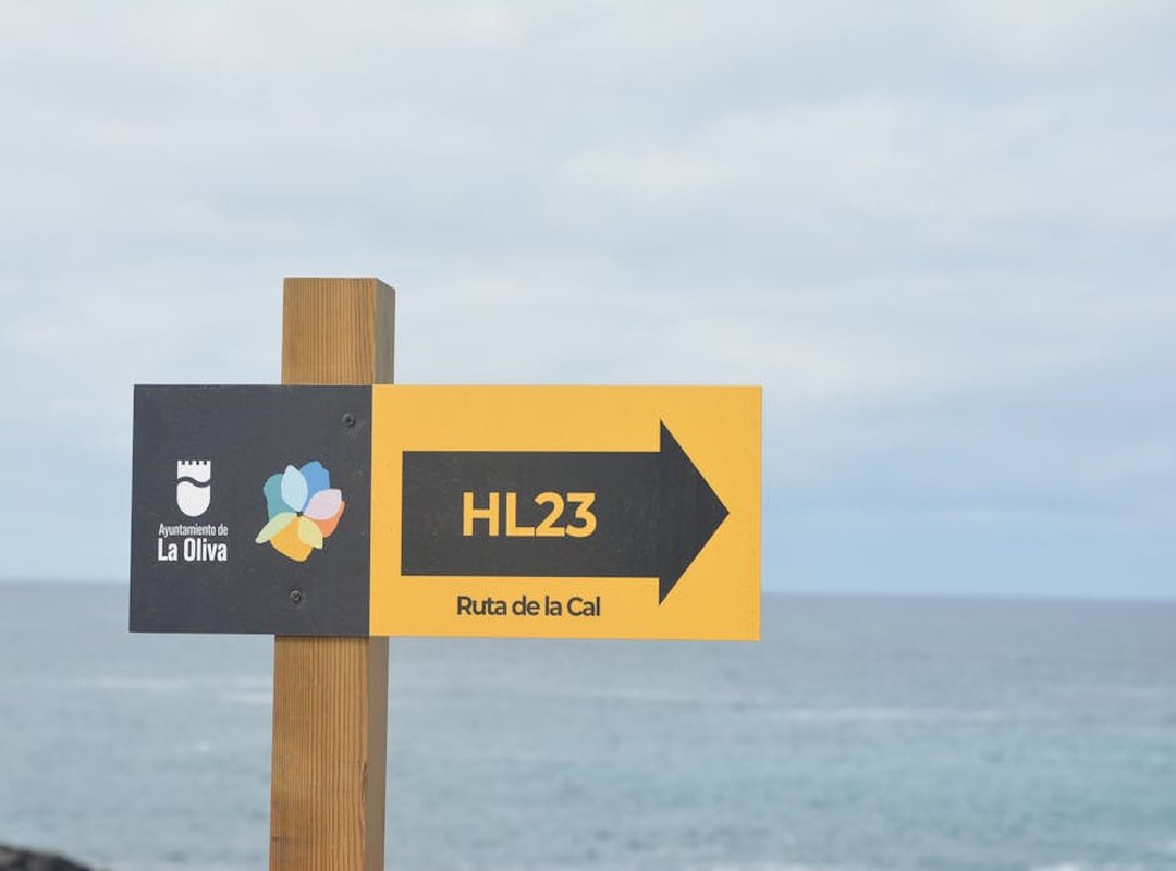 Más Amigos de la Granja Listos para la Aventura