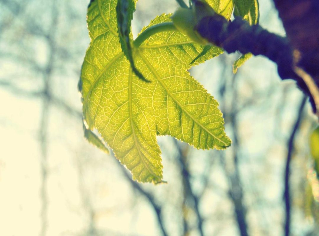 How to Submit Your Request: A 4-Step Process