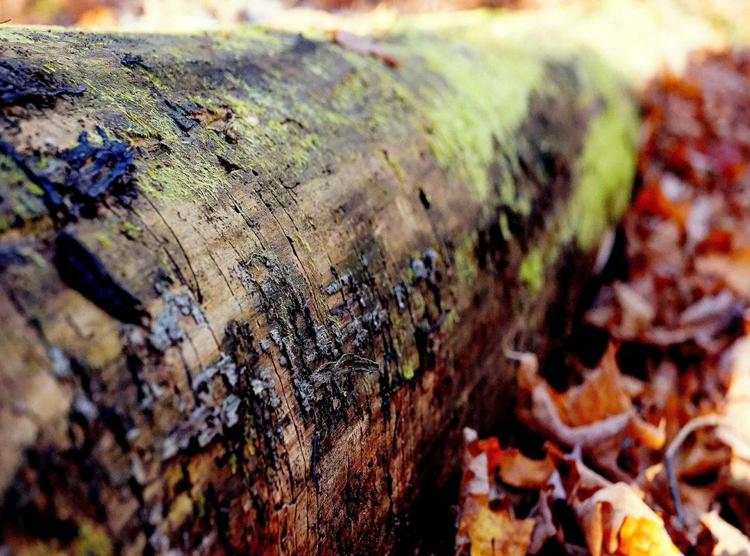 Beyond the Headlines: Her Growth as a Businesswoman