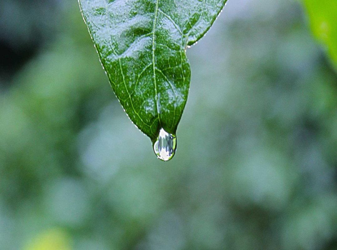 Evaluating a Naughty America Membership: Pros and Cons