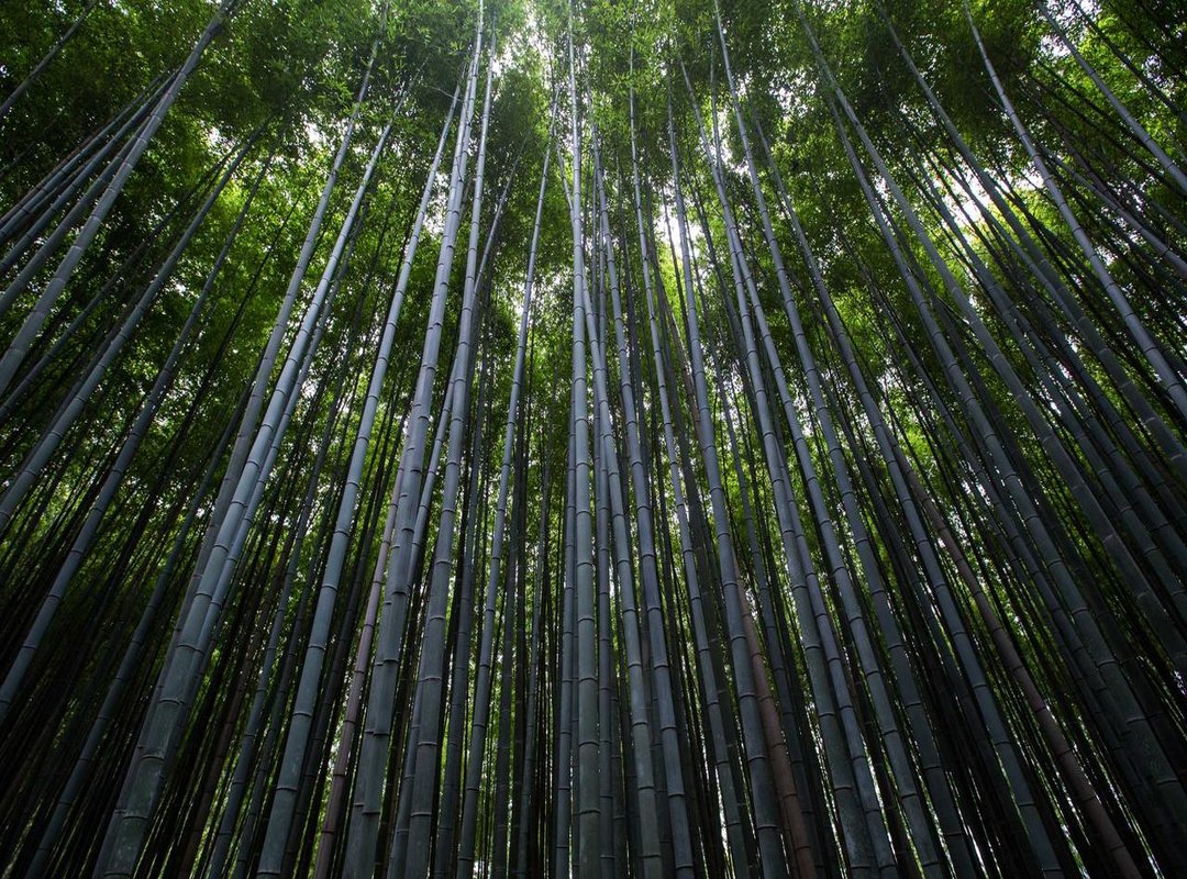 The Verdict: Pros and Cons of Adding Blue Wine to Your Cart