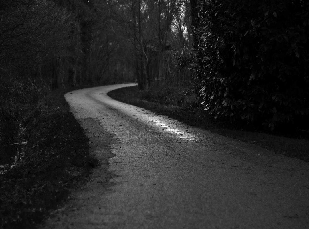 How to Talk to Your Stylist: Getting the Exact Cut You Want