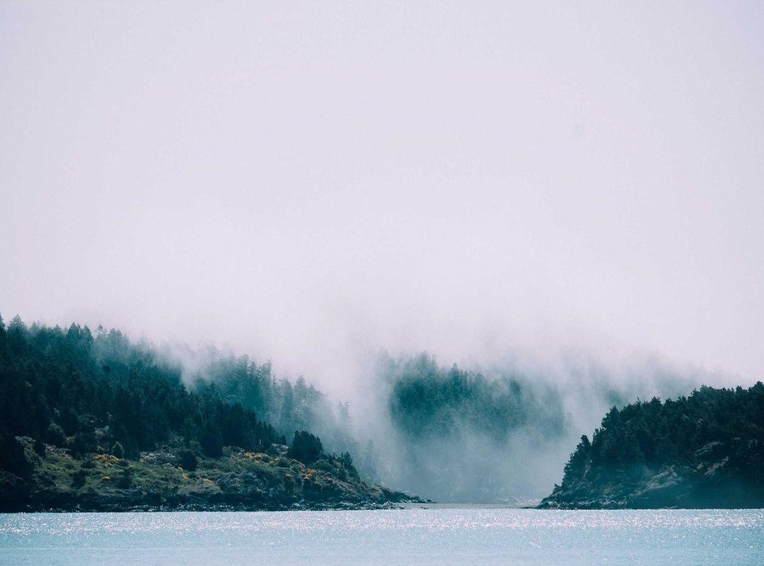 Complete Your Collection: Download the 